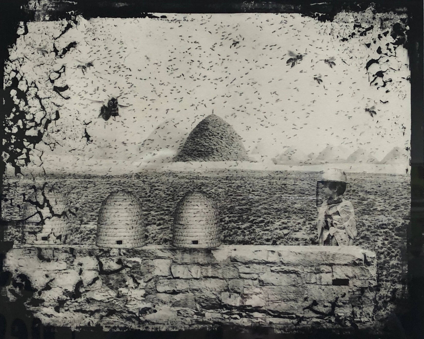 Black and white print of beehives sitting on a stone wall with a young child in a bee keepers suite with large mounds in the distant background.